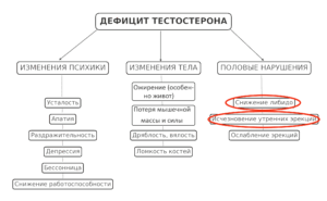 низкий тестостерон у мужчин